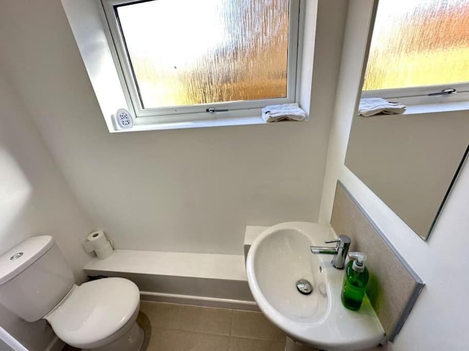 Charming New 2Br Detached House-Central Headington- Wi-Fi, Netflix, Top Location Oxford Exteriör bild